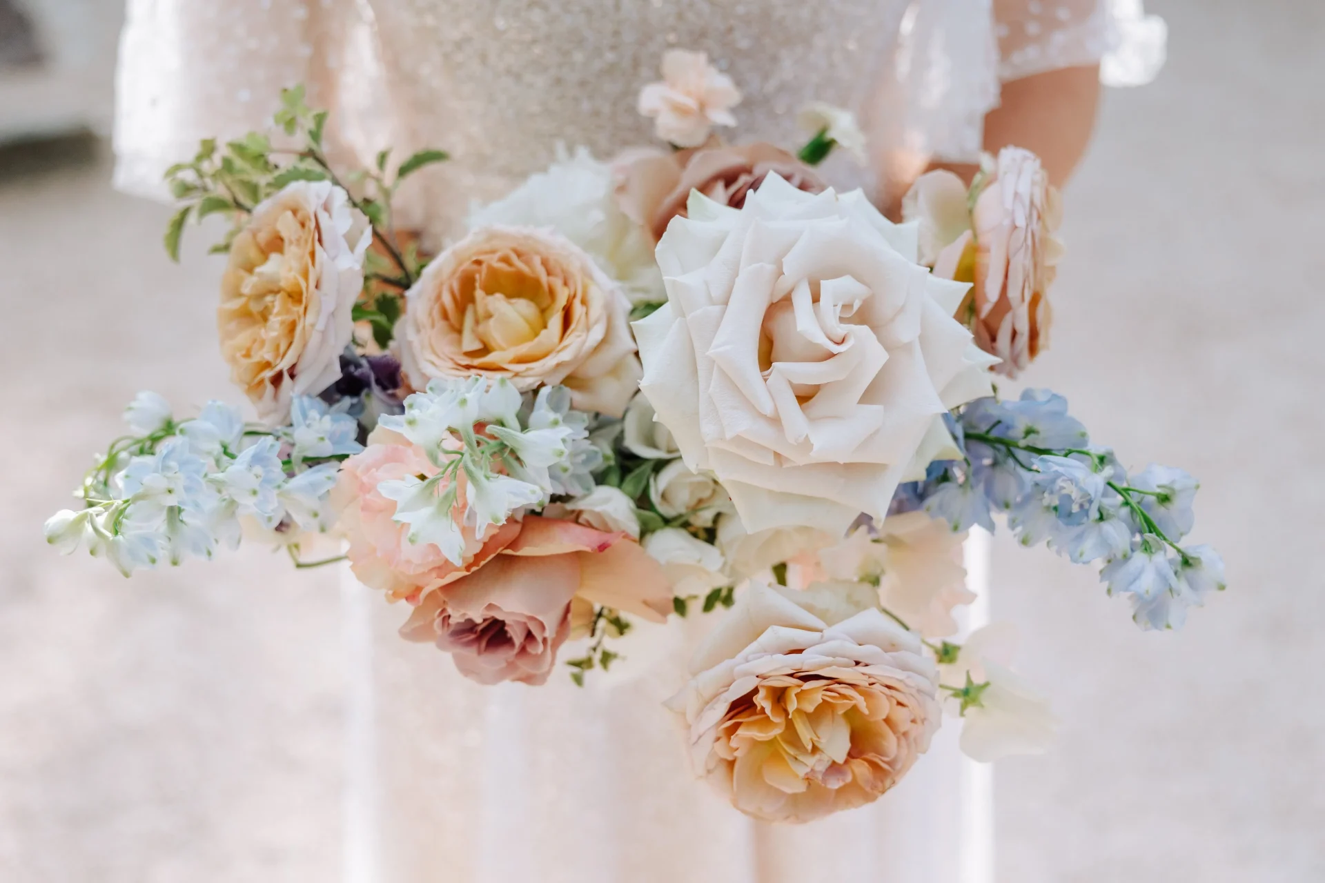 nicolas-terraes-260523264